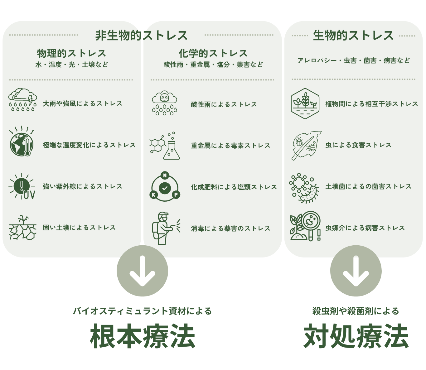 バイオスティミュラント資材の説明